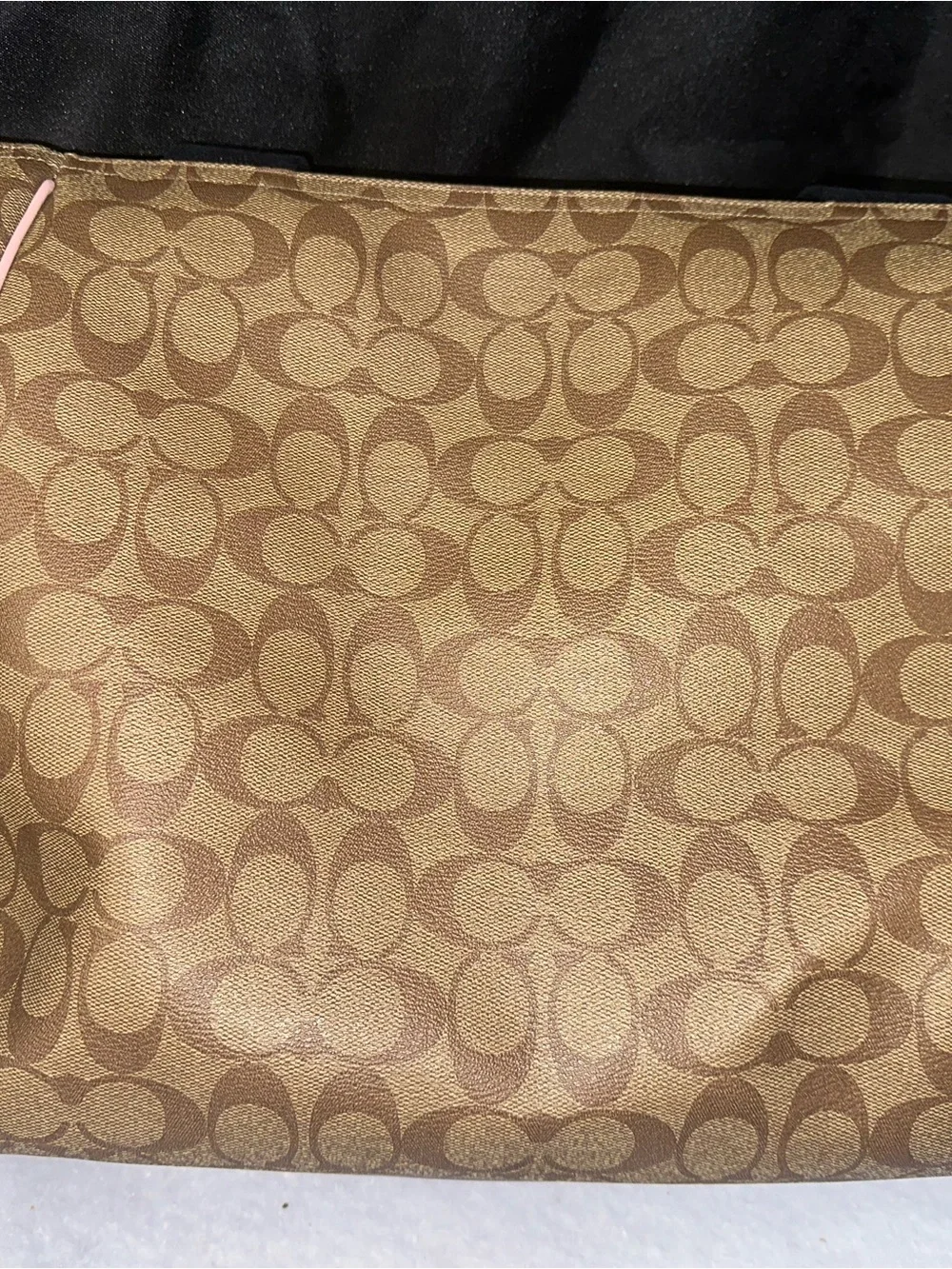 Coach Signature Canvas Tote with Brown and Green Trim